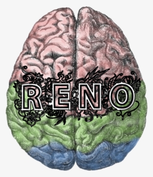The Reno Brain Trust - Cortex Cerebral #1148865