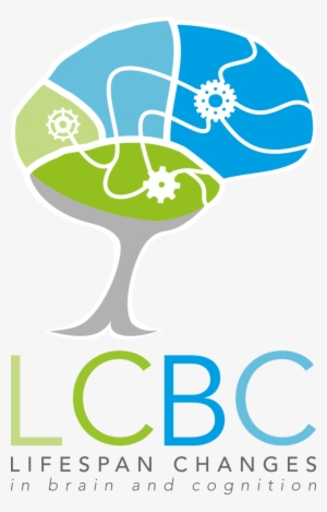 Brain And Cognition #1149527