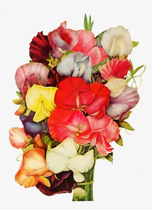 Corner With Pansy Flower - Flower #1150778