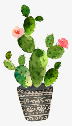 Cactaceae Painting Succulent Plant - Cactus Watercolor Transparent Background #1150837