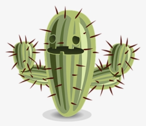 Cactus Prickly Nature Plant Green Desert T - Cactus Png #1151359