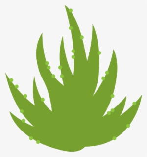 Airplant Wall Decal - Illustration #1151905