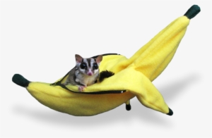 Banana #1152299