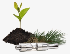 Cbd Vape Cartridge 200mg Gg - Cannabidiol #1152744