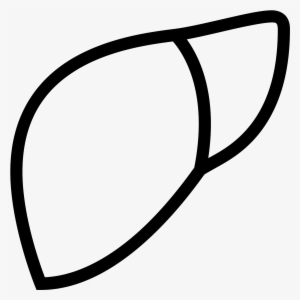 Liver Icon - Icons8 #1152801