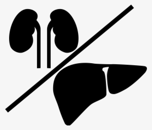 Open - Liver And Kidney Icon #1152866