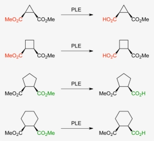 Pig Liver Esterase Hydrolysis Of Meso Compounds - Diagram #1153047