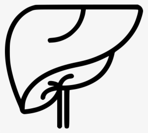 Liver Comments - Liver Clipart Black And White #1153378