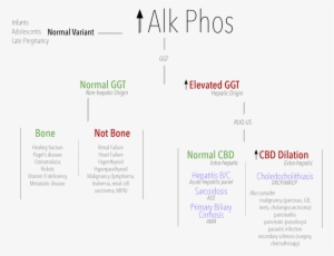 Alk Phos - Document #1153607