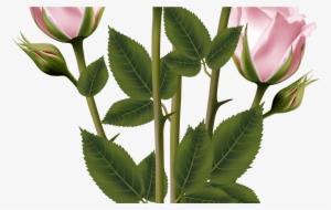 White And Pink Rose Bouquet Transparent Png Clip Art - Transparent Pink Flowers Bukay #1153718