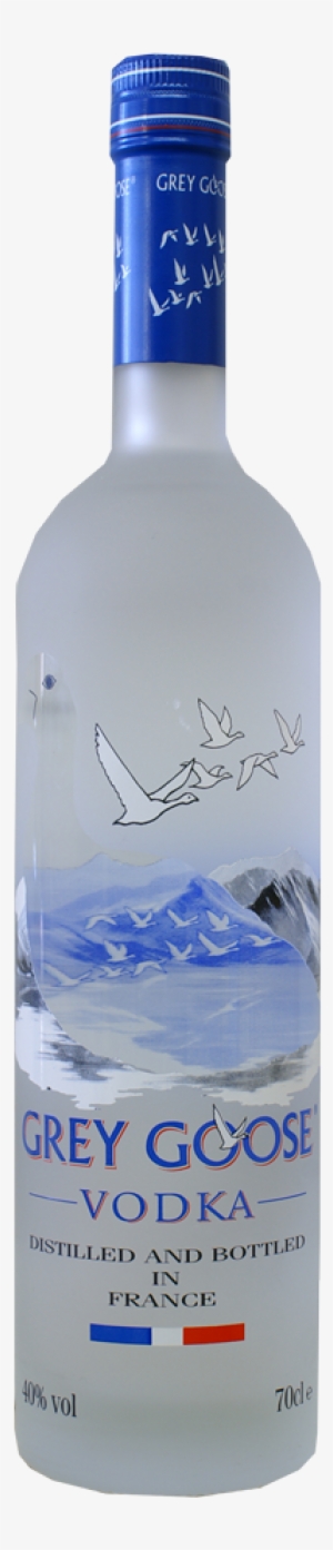 Grey Goose Original - Grey Goose 4.5 Litre Party Bottle #1153943
