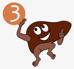 This Is When Organs Like Your Liver And Brain Do The - Skin #1153947