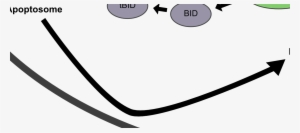 Post 18183 0 33611900 1441986860 Thumb - Desktop Computer #1154051