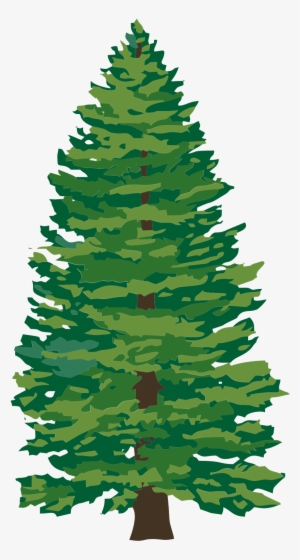 Tree Removal Dunkirk, Md Spences Tree Service Graphic - Tree Png #1154354