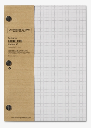 Standard Paper Size #1155535