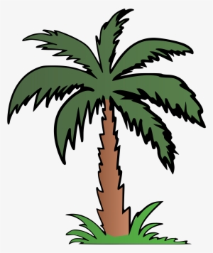 Palm Tree Clipart Terrestrial Plant - Palm Tree Colour #1157769