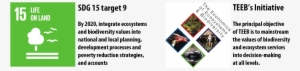 Banner Teeb Sdgs - Life On Land #1157842