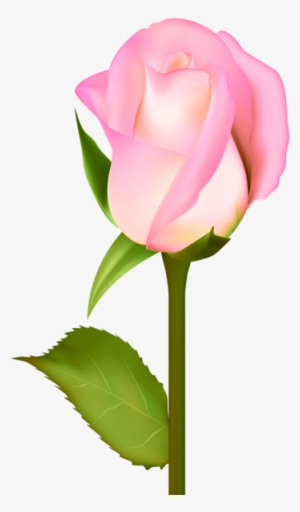 Pin By Jordan Jelev On Roses - Beautiful Rose Art #1157903