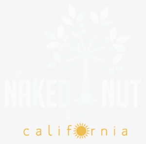 Nut Png #1157949 Nut Png #1157949