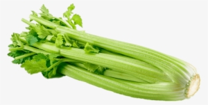 Vegetables - Celery Sticks #1158004