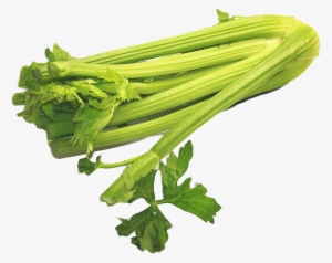 Celery Png #1158023