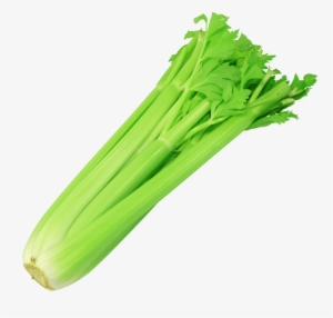 House Of Juice Bar Clipart Freeuse Download - Celery Transparent Background #1158169