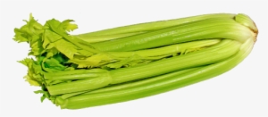 Celery Transparent Slice Stock - Png Celery #1158296