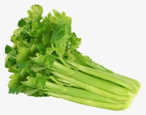 Celery Png Image - Celery Seeds 100 Seeds Vegetable Seeds #1158384