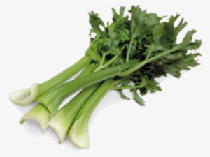 Celery #1158541