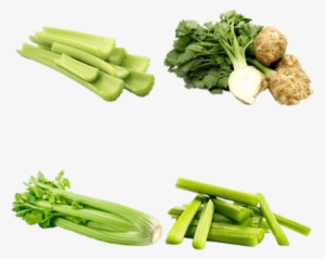 Celery - Celer Řapíkatý Balený 500g #1158565