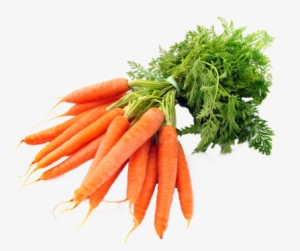 carrot png transparent carrot png image free download page 2 pngkey carrot png transparent carrot png