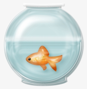 28 Collection Of Fish Bowl Clipart Free - Fish In Bowl Png #1158902