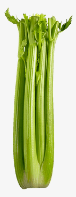 Celery Stalks - Celery #1159276
