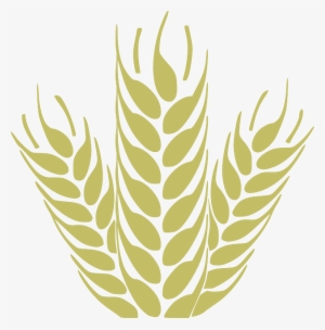 Harvest Corn, Grain, Spica, Wheat, Cereals, Harvest - Wheat Icon Png #1159579 Harvest Corn, Grain, Spica, Wheat, Cereals, Harvest - Wheat Icon Png #1159579