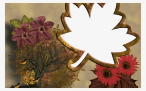 Fall Png Photo Frame Elegant Frames Pinterest Clip - Picture Frame #1159687