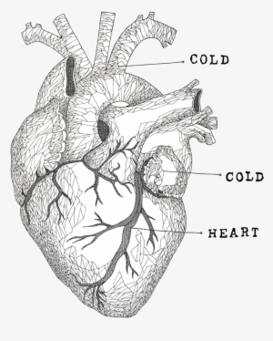 Cold Cold Heart Web Big Final #1160670