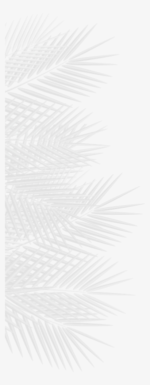 Calendars - Monochrome #1161066