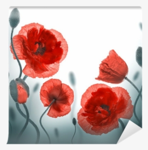 File Img, Poppy Field - Blessed New Week Messages #1161145
