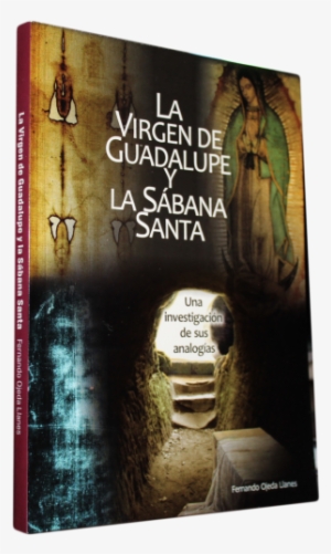 Our Lady Of Guadalupe #1161930