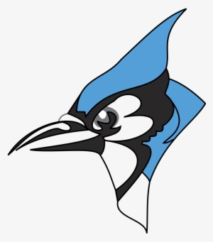 Blue Jay Png Transparent Blue Jay Png Image Free Download Pngkey