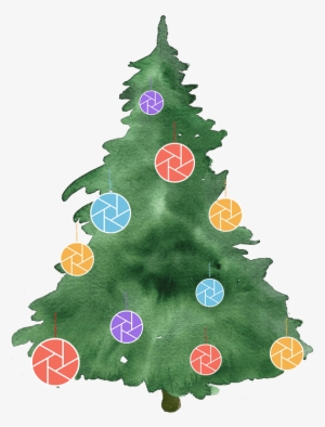 Christmas Tree Deals - Christmas Tree Watercolour Png #1162837