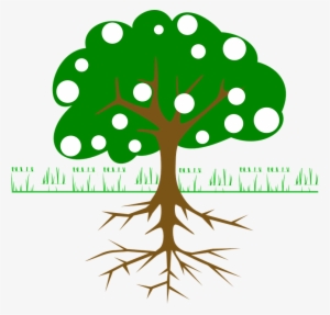 Banner Transparent Branch Transparent Mango - Tree With Fruits And Roots #1162899