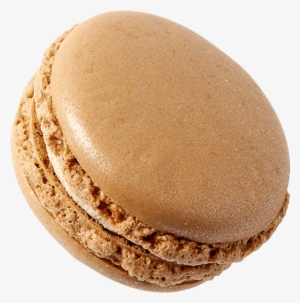 Macaroon #1162934