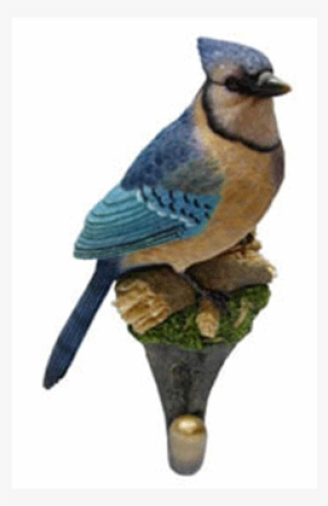 Bluejay Wall Hook - Nature's Window Bluejay Decorative Coat Hook #1163001
