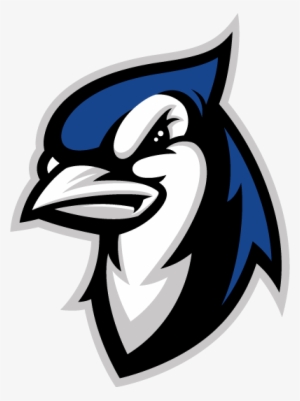 Identity Branding Logo And Character Development - Elizabethtown College Blue Jays #1163148
