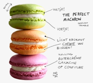 In The Popular Neighborhood The Pijp You Find Poptasi, - Macarons Gluten Free #1163205
