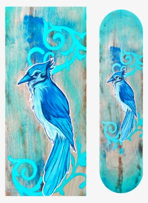 Blue Jay Board - Blue Jay #1163249