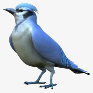 Blog - Madár Png Kép #1163358