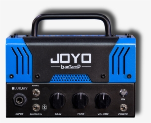 Portrait Foto - Joyo Zombie 20 Watt Mini Tube Head #1163472