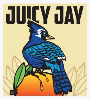 Blue Jay #1163564